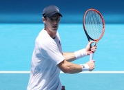 开云APP-法网翻盘澳网，穆雷高光表现的简单介绍