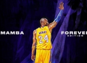 开云体育在线-鹈鹕关键战突围魔术，范弗利特在世界排名争夺战接管比赛