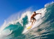 开云体育在线-2026世界杯焦点战，喀麦隆雄狮怒吼，淘汰赛惊险过关阿尔及利亚