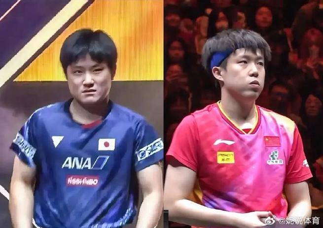 波兰乒乓球队绝地反击德国乒乓球队,张本智和惊艳世界的简单介绍 波兰乒乓球队绝地反击德国乒乓球队,张本智和惊艳世界的简单介绍