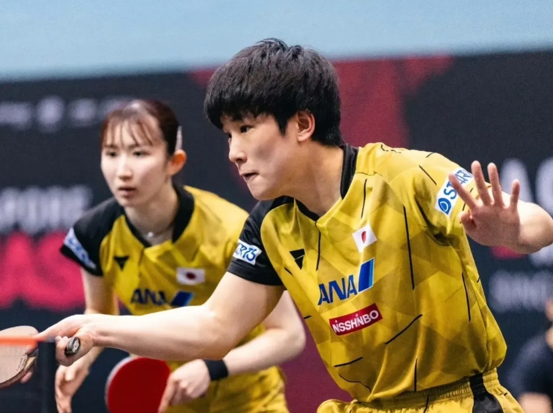 包含德国乒乓球队血洗韩国乒乓球队，张本智和爆发神勇的词条