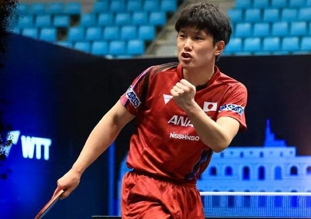 包含德国乒乓球队血洗韩国乒乓球队，张本智和爆发神勇的词条