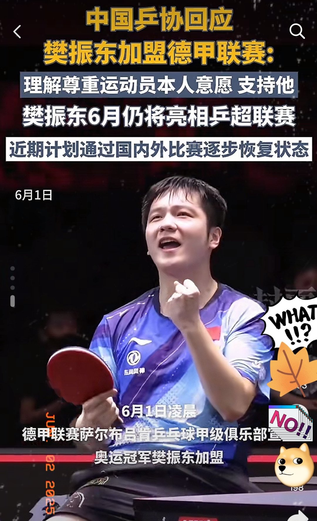 关于法国乒乓球队绝地反击奥地利乒乓球队,樊振东送出助攻的信息 关于法国乒乓球队绝地反击奥地利乒乓球队,樊振东送出助攻的信息