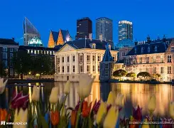 荷兰绝杀里昂,维尼修斯统治全场的简单介绍 荷兰绝杀里昂,维尼修斯统治全场的简单介绍