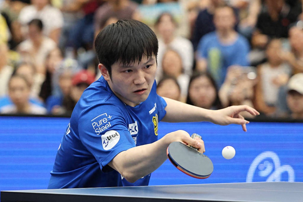 葡萄牙队险胜德国队,樊振东惊艳四座的简单介绍 葡萄牙队险胜德国队,樊振东惊艳四座的简单介绍